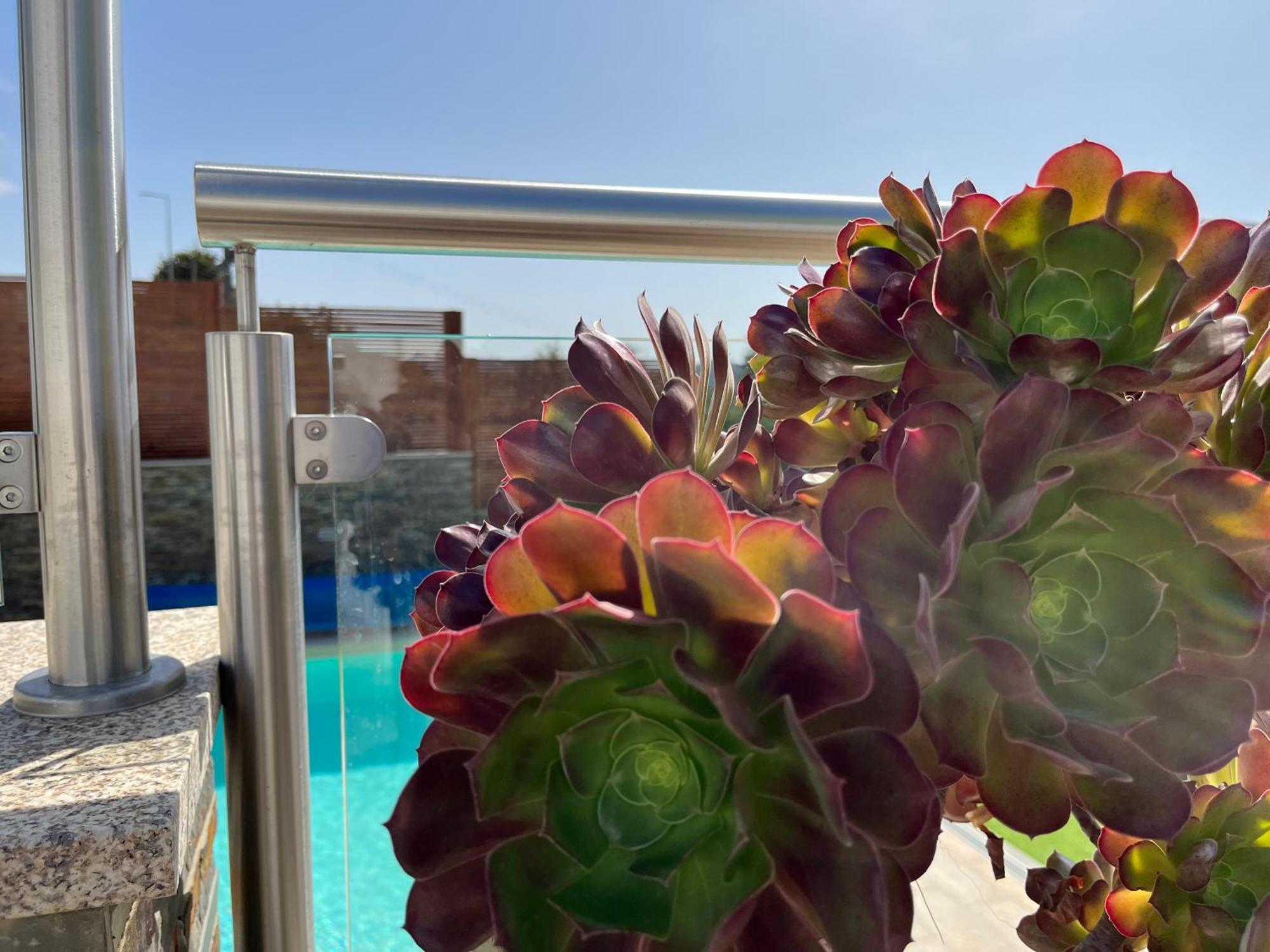 Fonte Retreat Home - Jacuzzi And Heated Swimming Pool Sandim Exterior foto